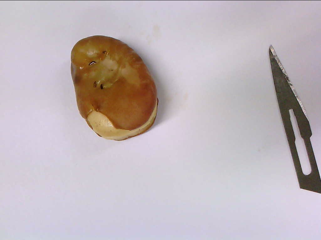 2019-03-04_0001.jpg Thumbnail