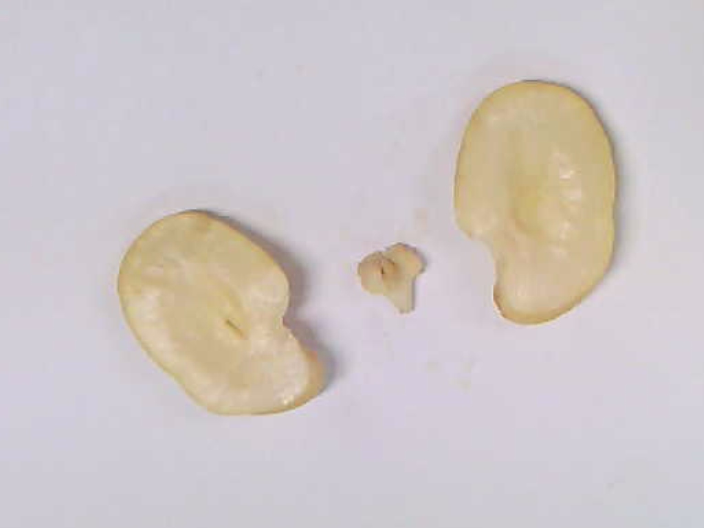 2019-03-04_0003.jpg Thumbnail