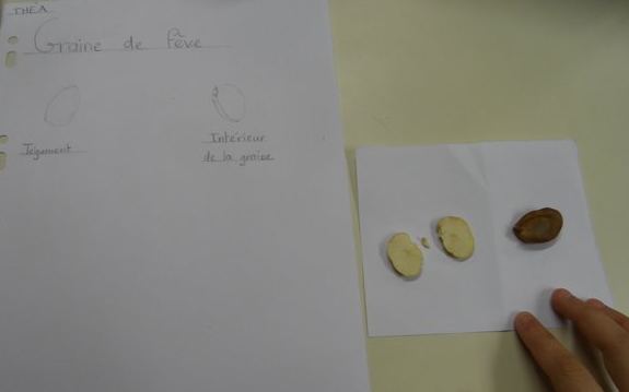 m_sam_1472.jpg Thumbnail