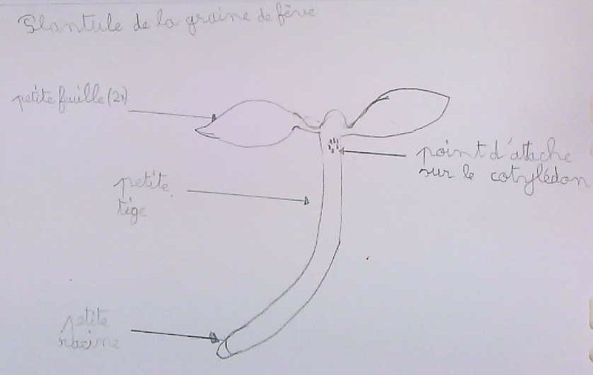 sans_titre_04.jpg Thumbnail