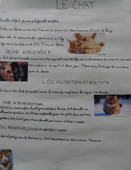 m_sam_1653b.jpg Thumbnail