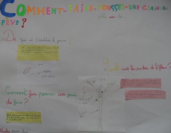 m_sam_1654.jpg Thumbnail