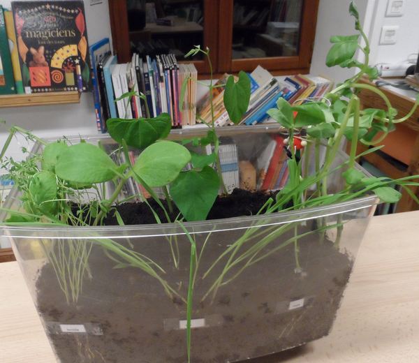 sam_1594.jpg Thumbnail