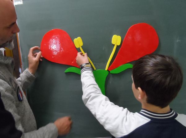 sam_1607.jpg Thumbnail