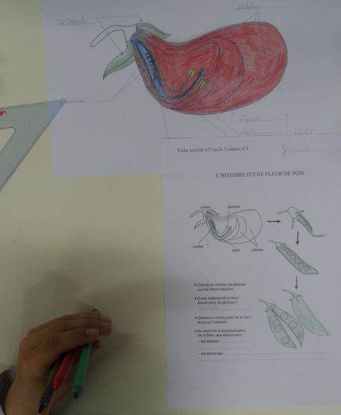 sam_1611.jpg Thumbnail