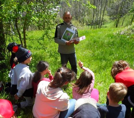 m_sam_1752.jpg Thumbnail