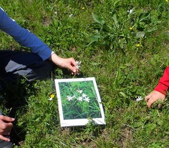 m_sam_1754.jpg Thumbnail