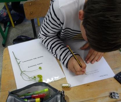 m_sam_1760.jpg Thumbnail