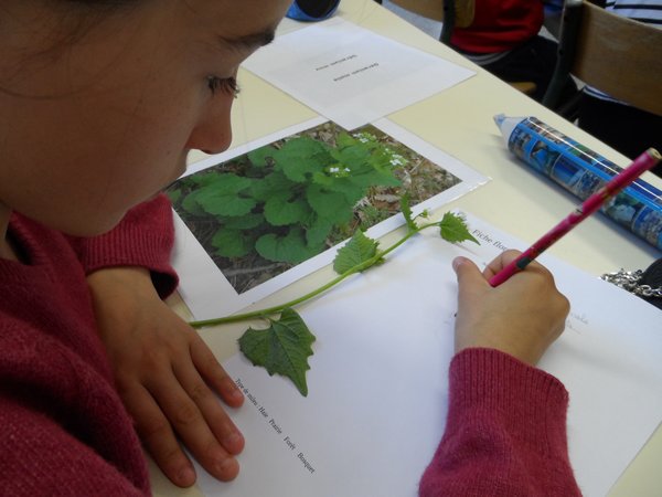 m_sam_1762.jpg Thumbnail